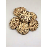 Superior White Flower Mushrooms (Big) 白花菇 Bai Hua Gu 100g/500g - Yong Xing Tonic