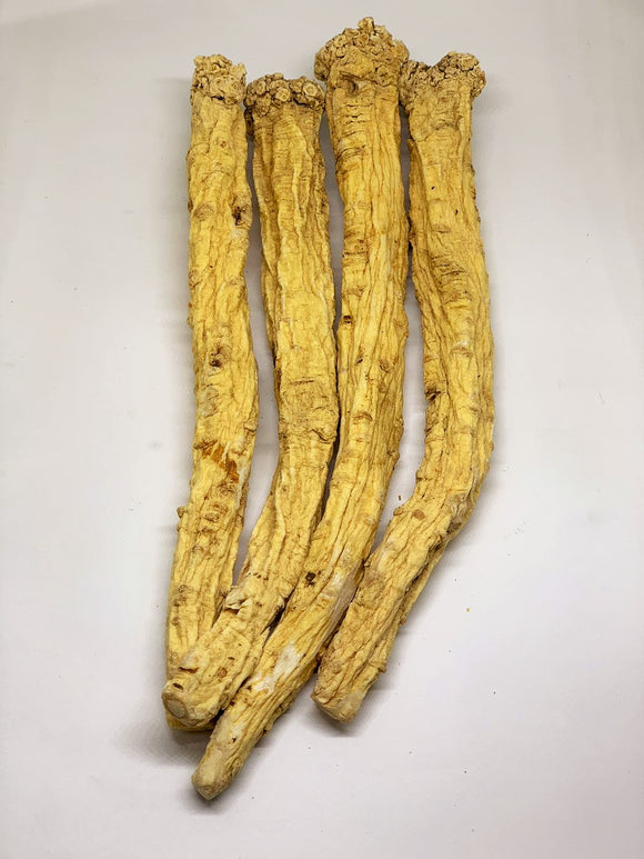Premium Codonopsis (Dang Shen) 项级党参王 Xiang Ji Dang Shen Wang 100g - Yong Xing Tonic