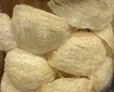 Classic Bird's Nest 特级官燕 Te Ji Guan Yan 37.5g - Yong Xing Tonic