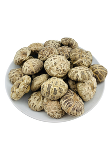 Superior White Flower Mushrooms (Big) 白花菇 Bai Hua Gu 100g/500g - Yong Xing Tonic